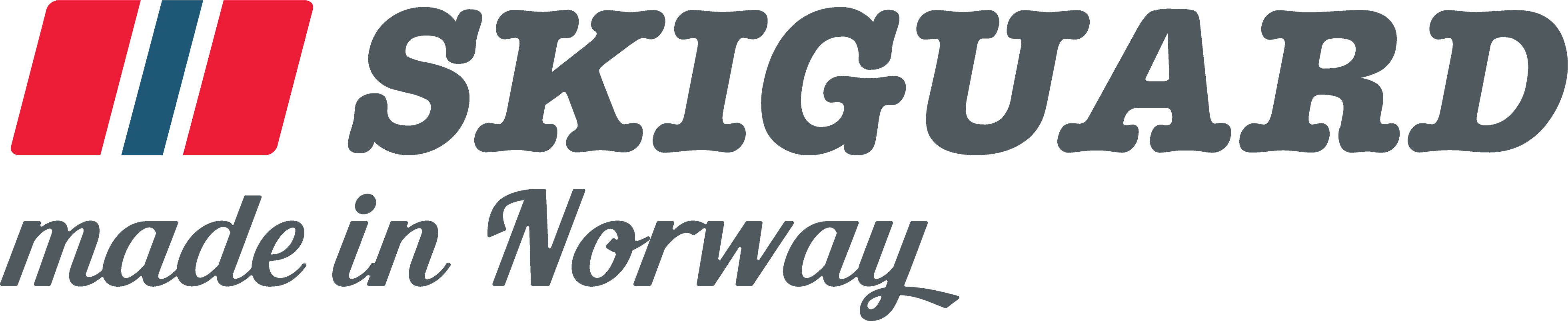 logo skiguard 